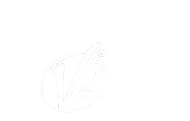 V2 Italy