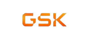 GSK